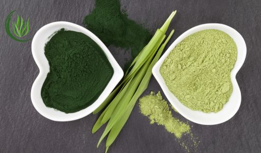 Chlorella vagy spirulina
