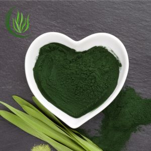 Chlorella vagy spirulina kicsi